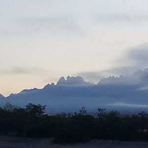 Meet your Posher, Gloria